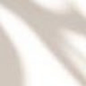 Meet your Posher, Mitch